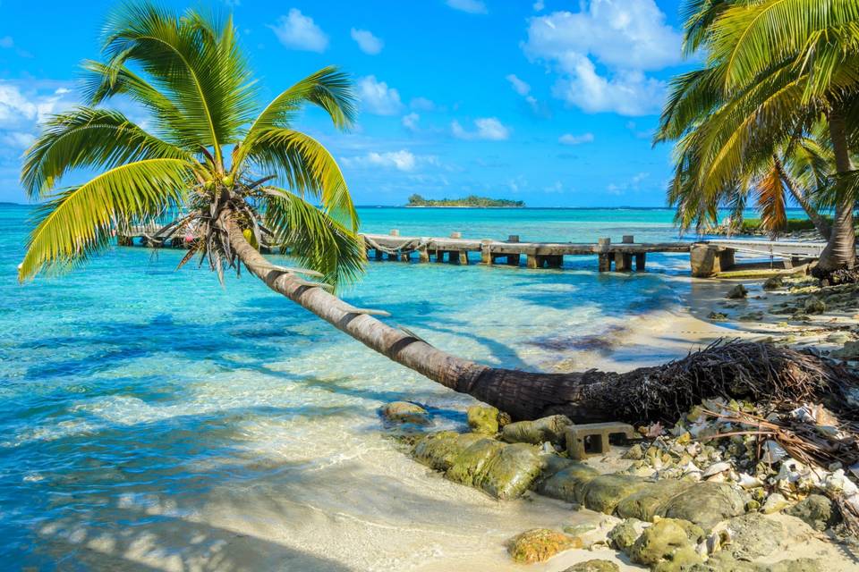 Turquoise Waters in Belize