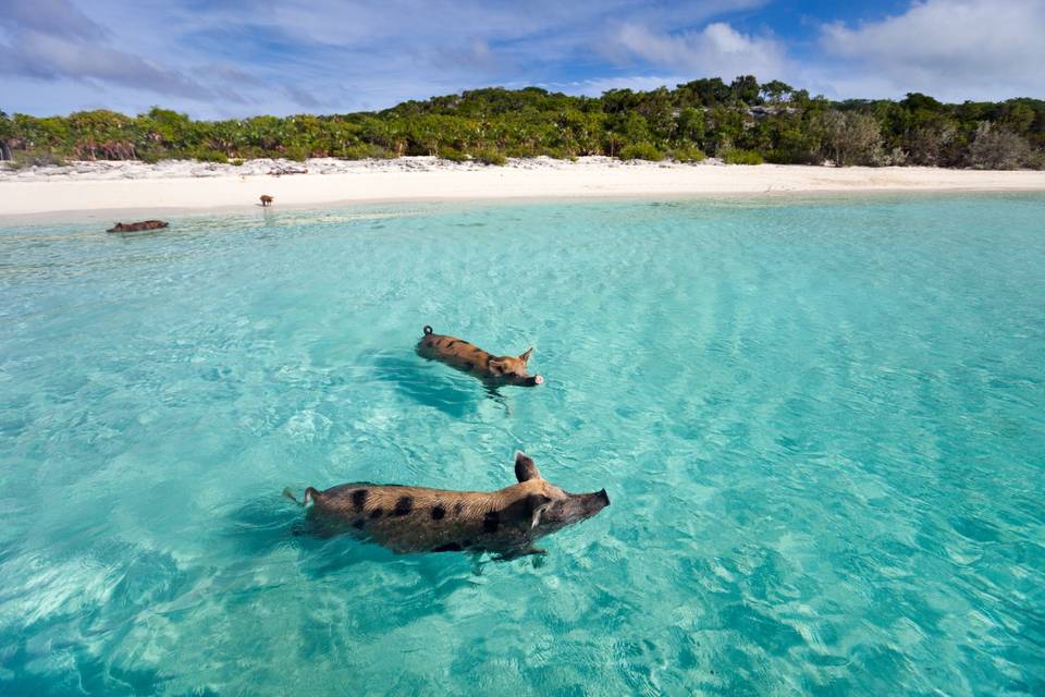 Island of Exuma, Bahamas