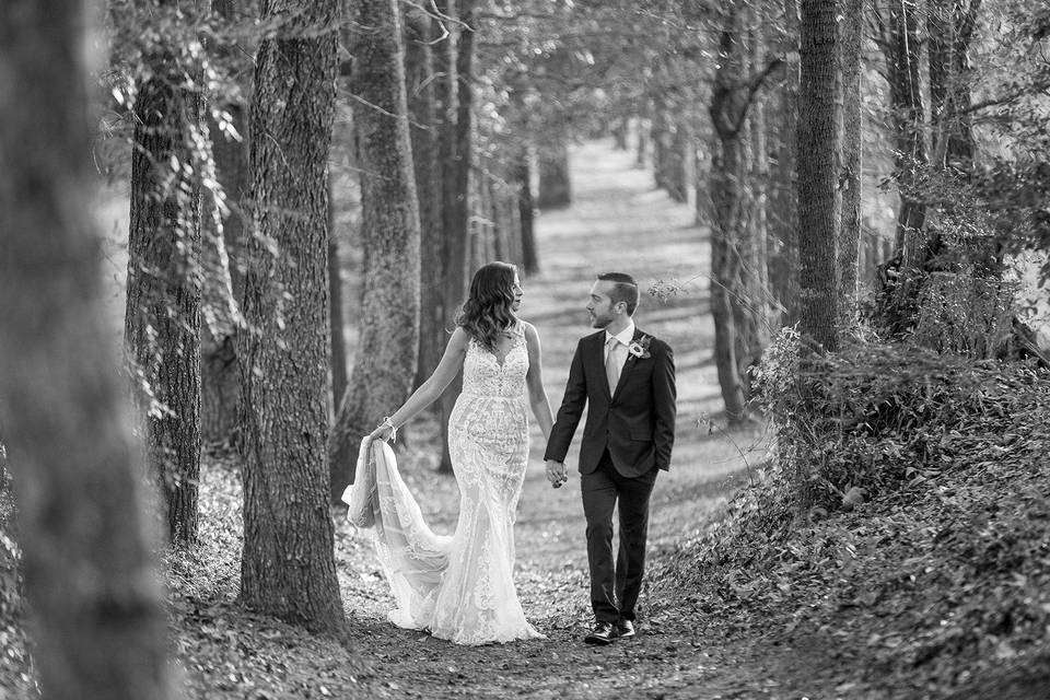 Tree lined carriage road