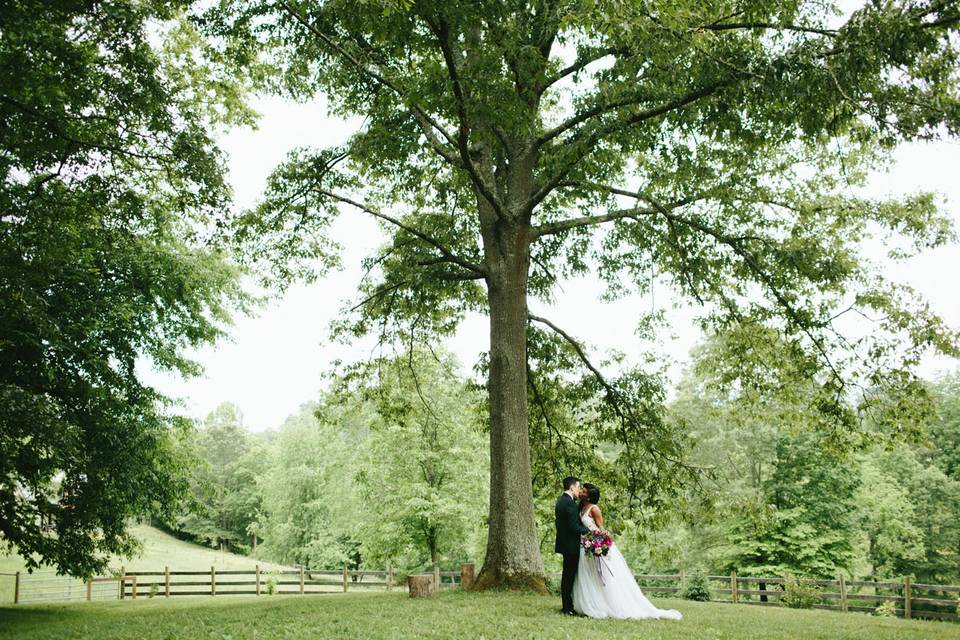 Ceremony field- Tree