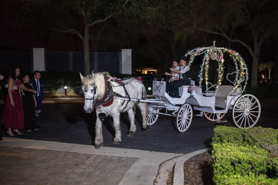 Classy wedding ride