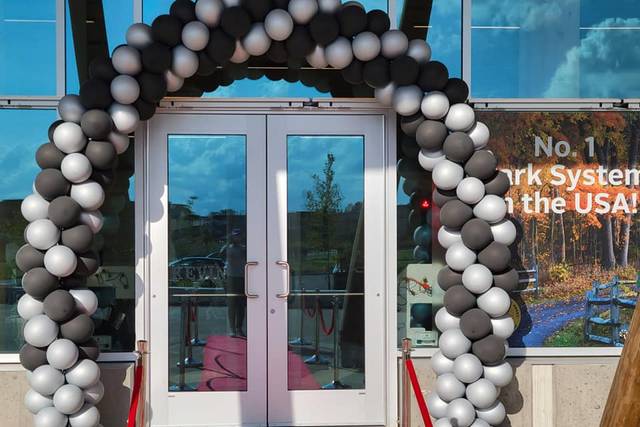 Balloon designs