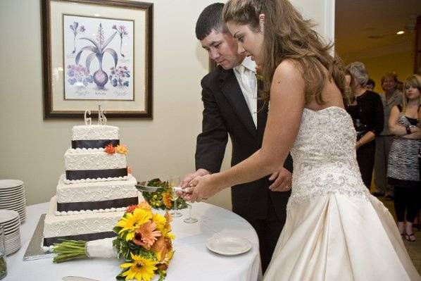 Cake cutiing