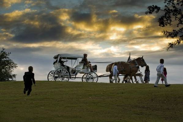 Bridal carriage