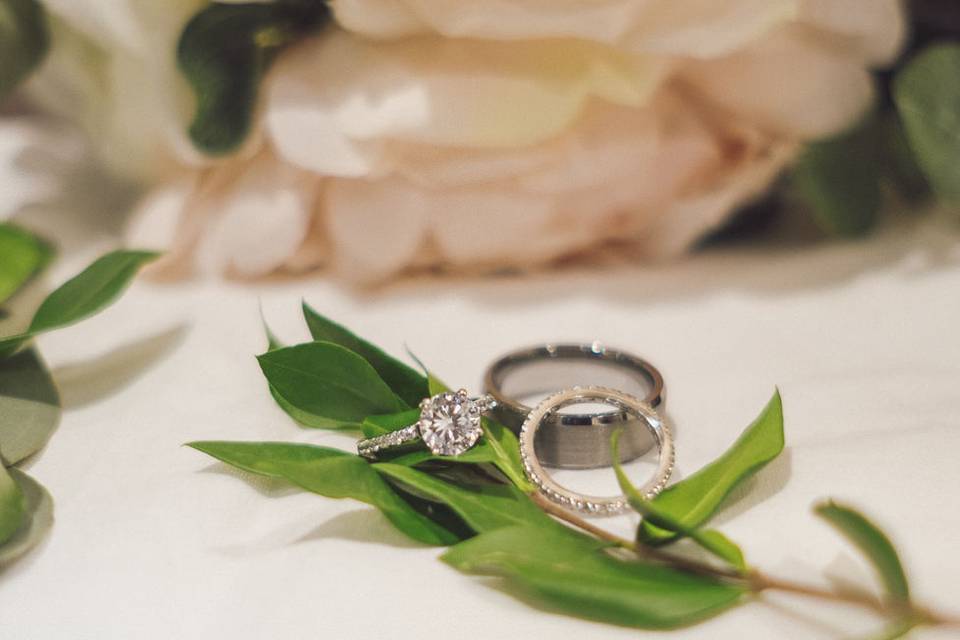 Francine Mireles Photography