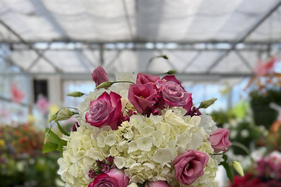 Hydrangea & Roses