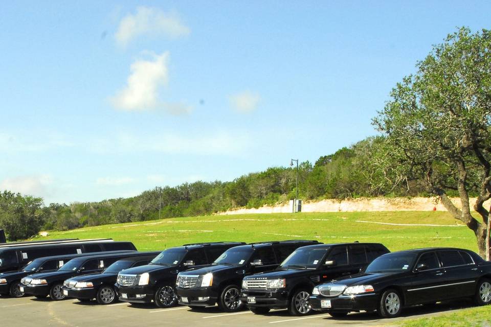 Shark Limousines Fleet