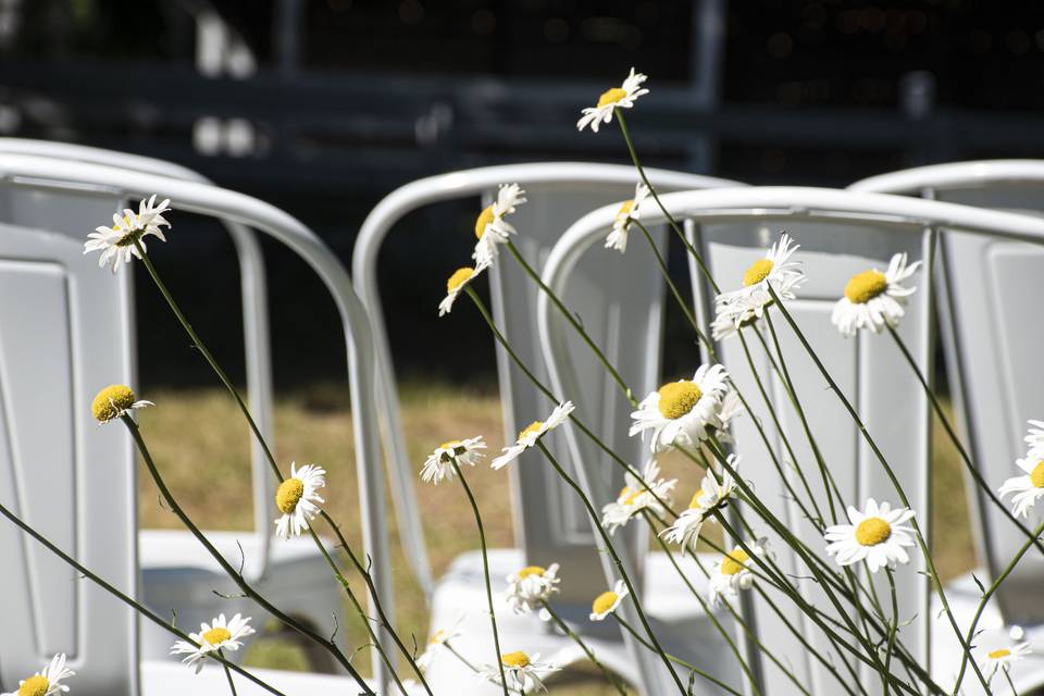 Outdoor Ceremony