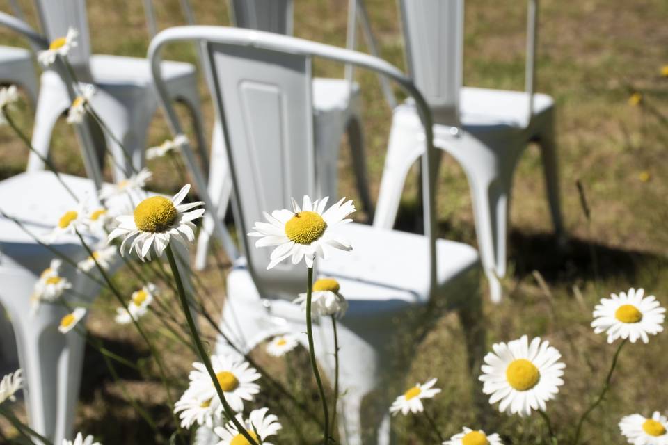 Outdoor Ceremony