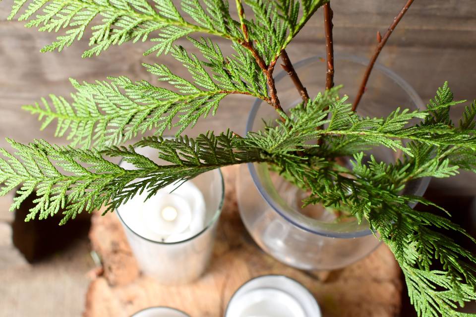 Cedars and Candles