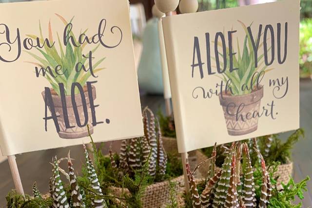 Aloe Wedding Favors