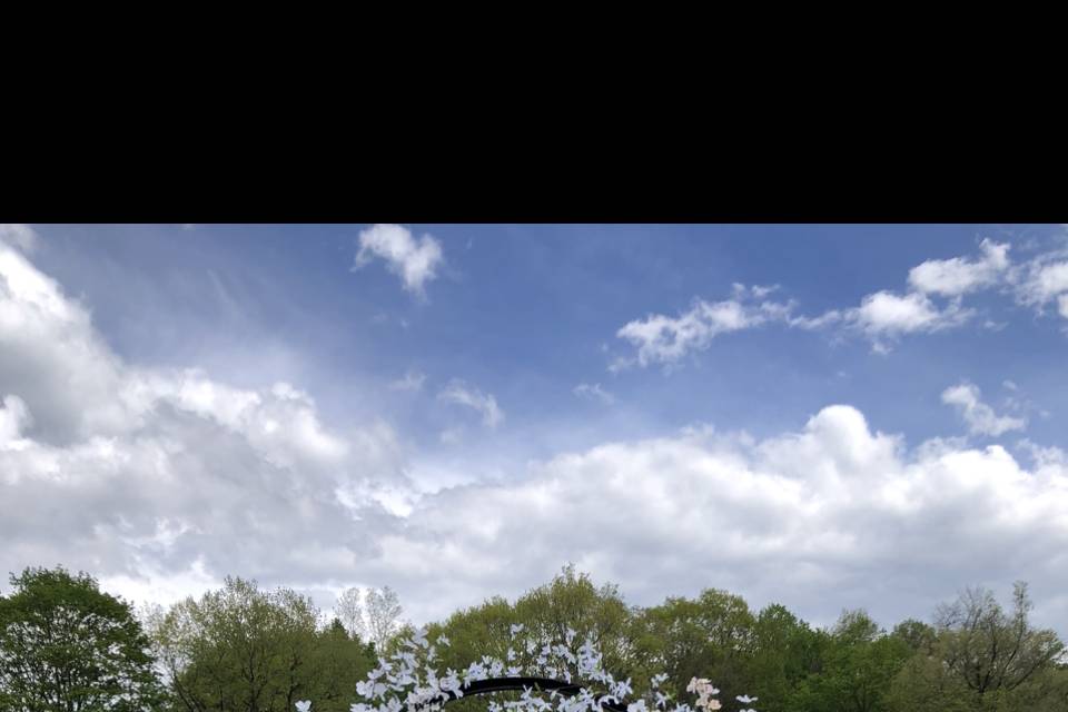 Spring Arch