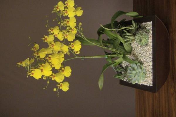 Beverly Hills Orchids