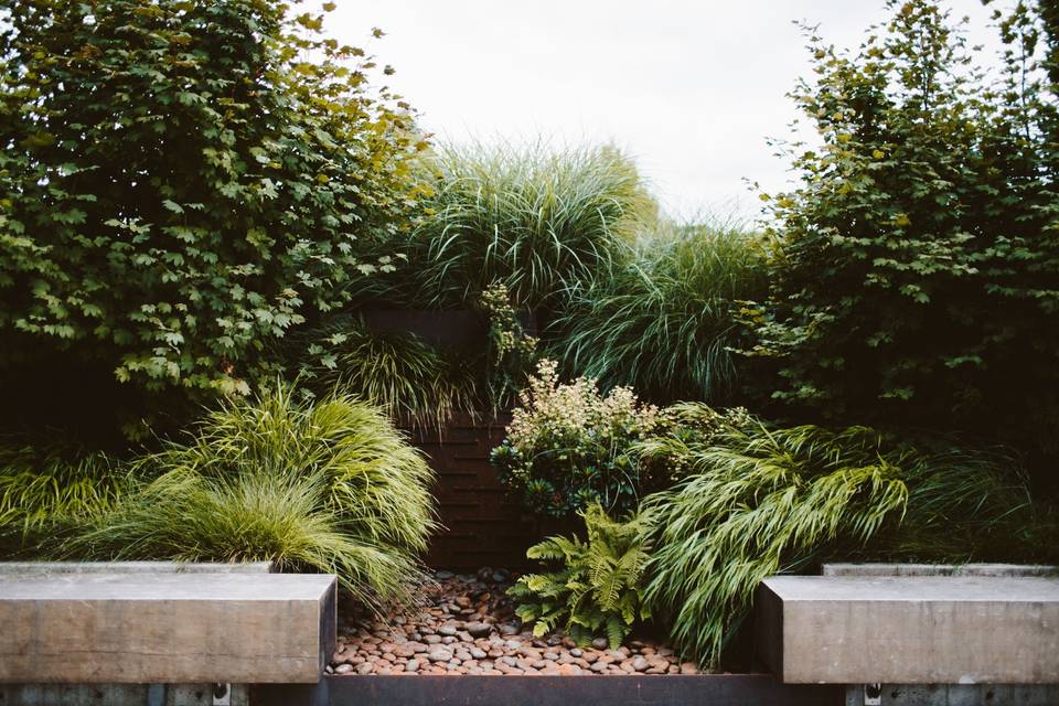 Rainwater garden in courtyard