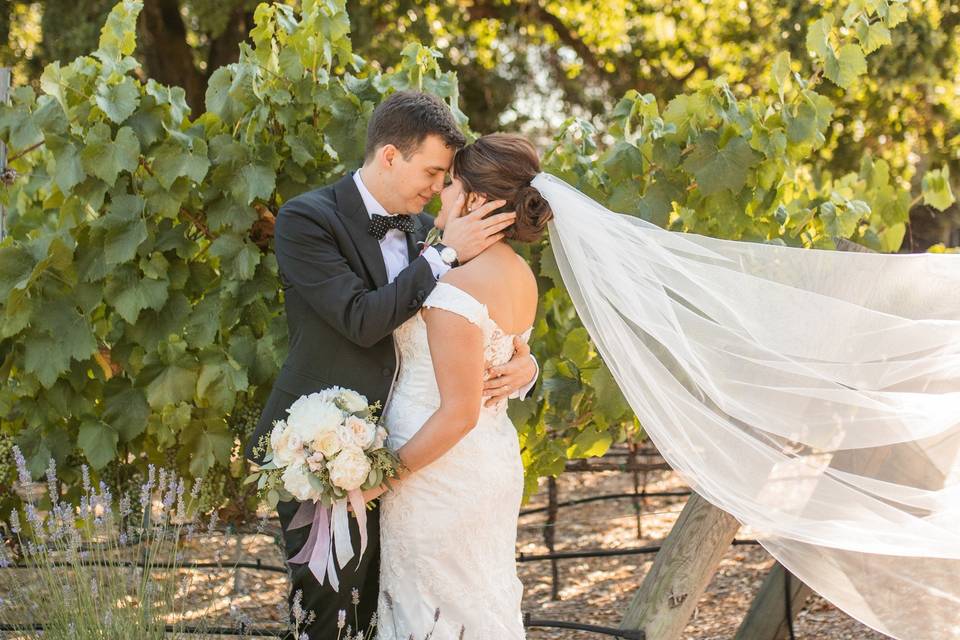 Newlyweds in the Vineyard
