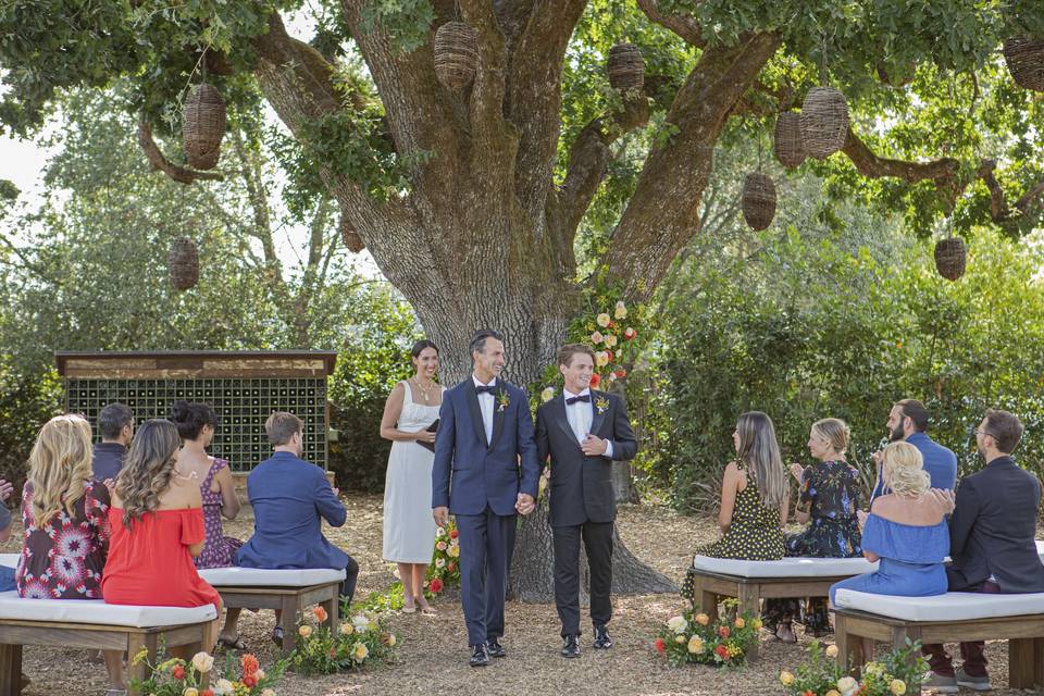 Grooms by Heritage tree