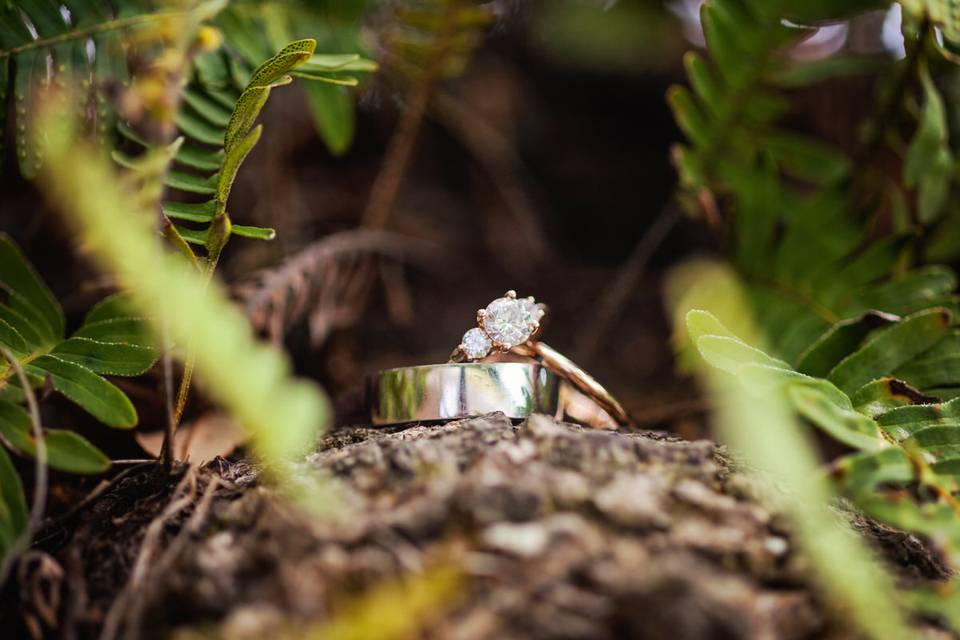 Wedding Rings in Nature