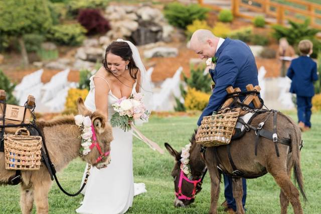 Reg and Kala Photography