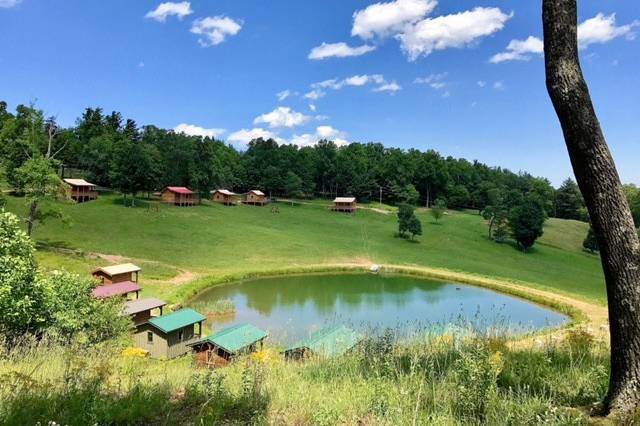 Verdant surroundings