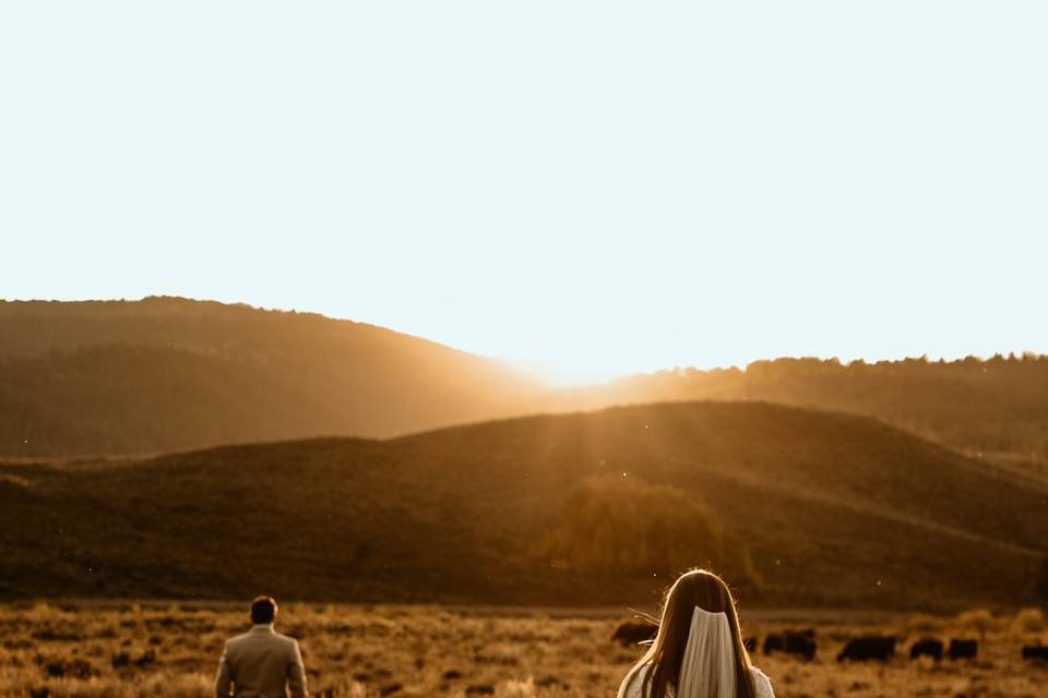 Wyoming Wedding