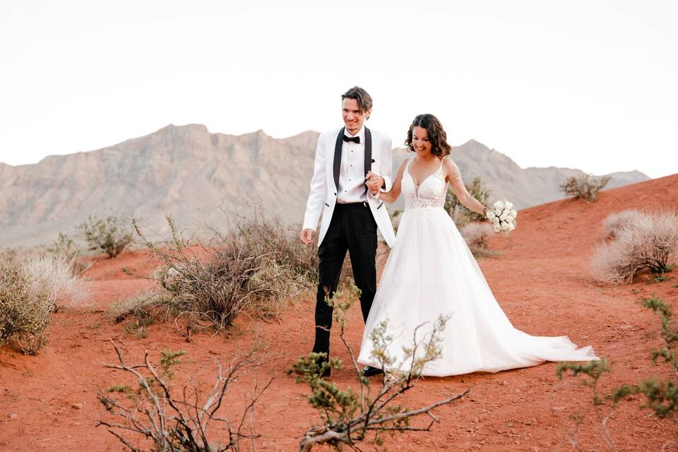 Desert Elopement