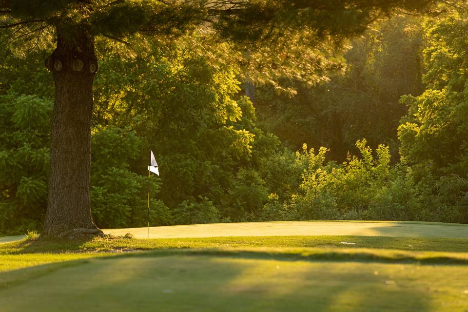 Sunlit golf course views