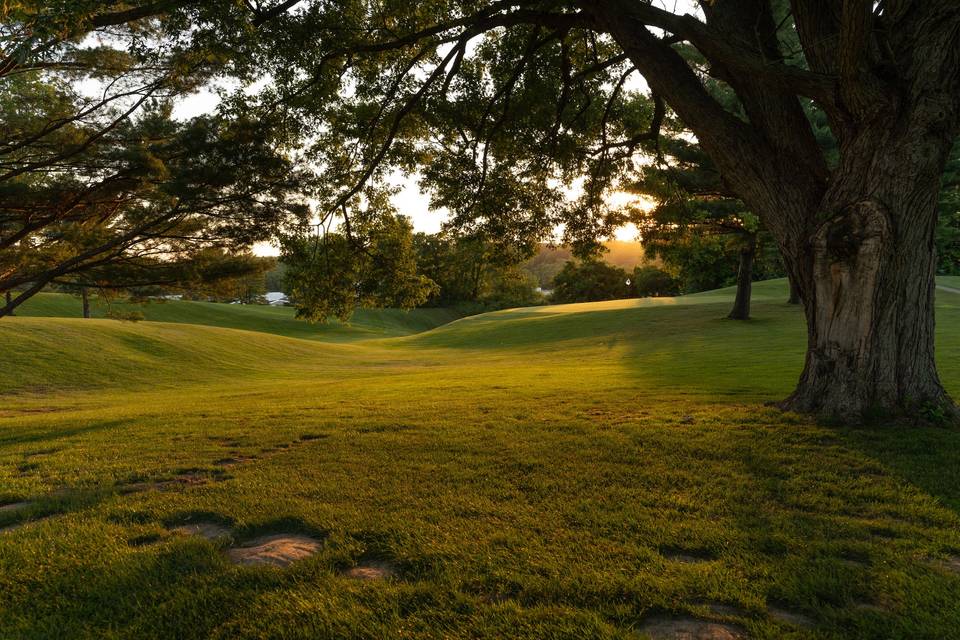 Golf course at dusk.