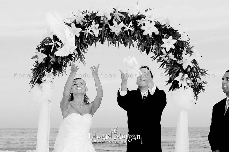 Bird release #BeachFlorida#OrangeBeach#alabamawedding#floridawedding #gulfshoreswedding #orangebeachwedding #destinwedding #ftmorganwedding #gulfcoastwedding#gulfofmexico #beachwedding #gulfstatepark #alaparkA