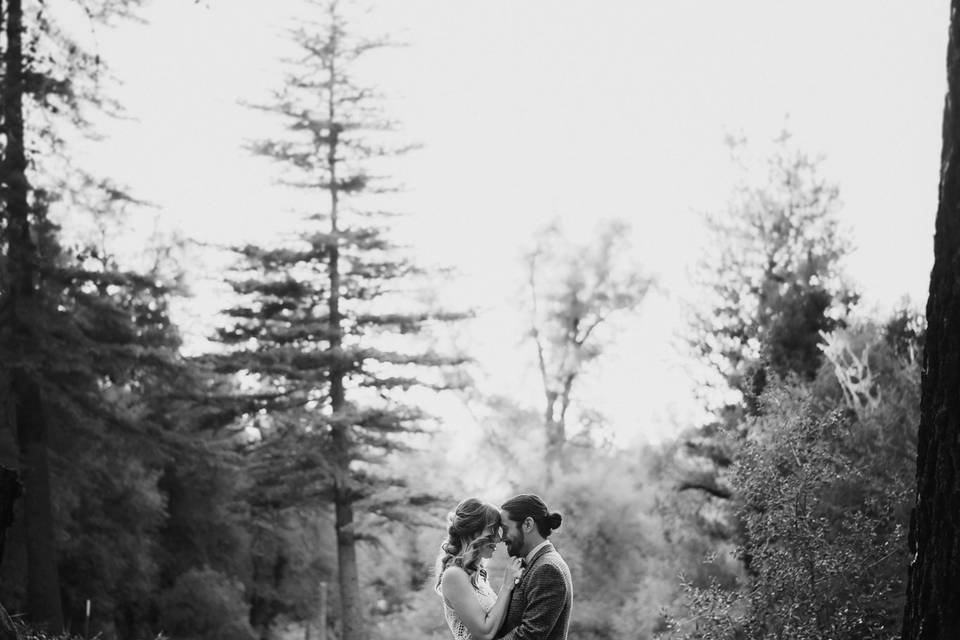 Jay Resh Photography
