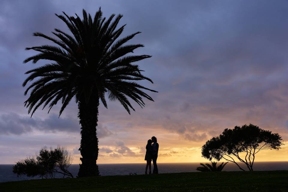 Silhouette Palms