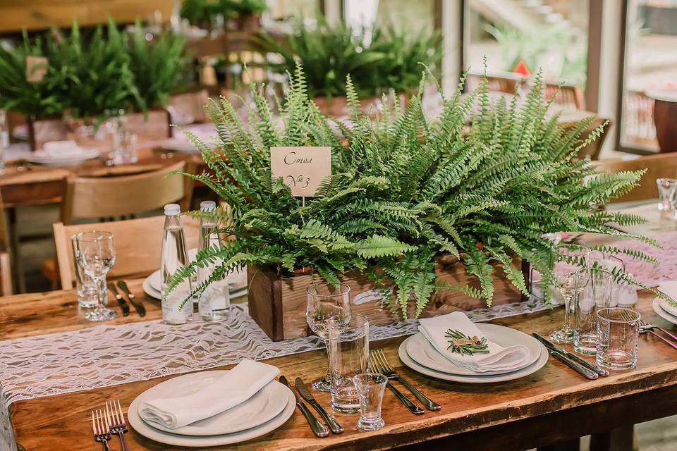 Table setting and boxed plants