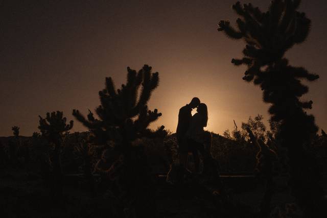 Joshua Tree Engagement Session