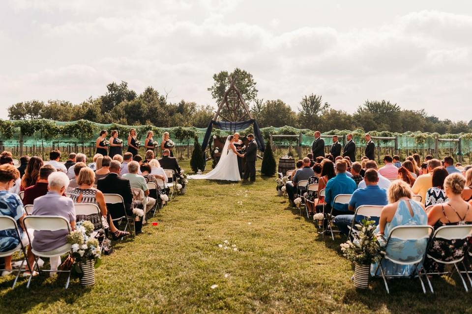 Ceremony in Whistlers Vineyard