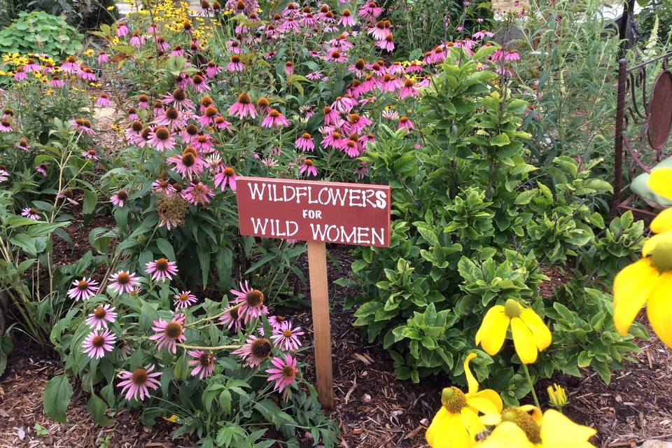 Wildflowers for Wild Women