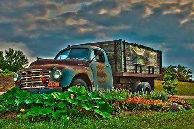 Whistler's 1949 Studebaker Truck | Photo credit to Eric Zahn, Prizm Pro Photography