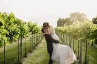 Kissing in the Vineyard