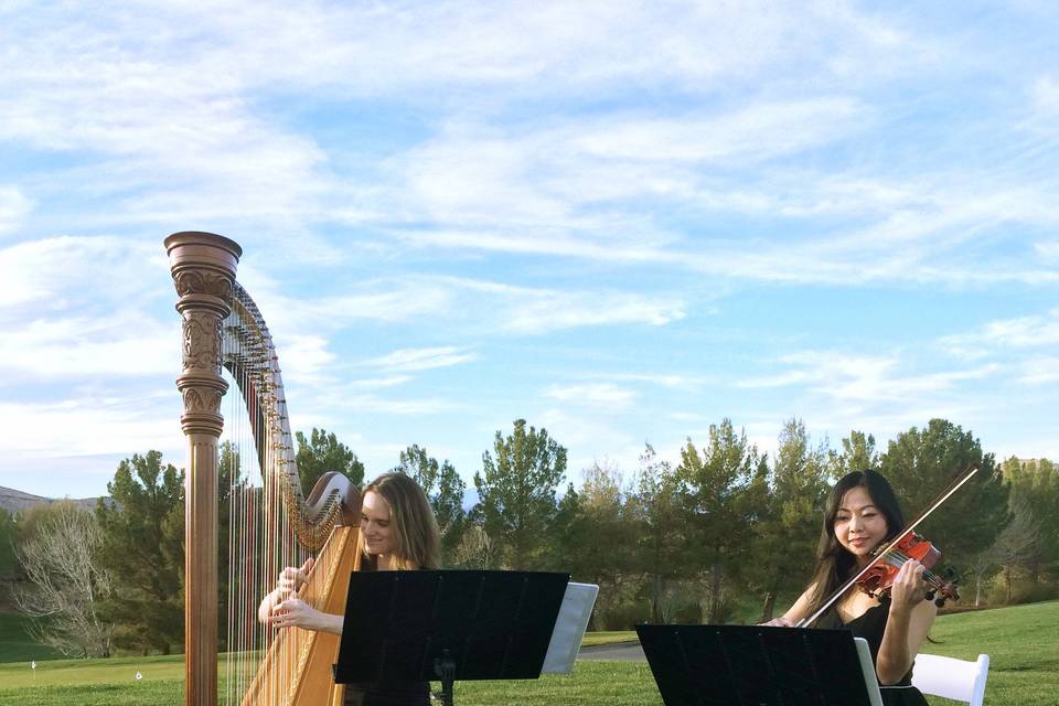 Violinist and harpist