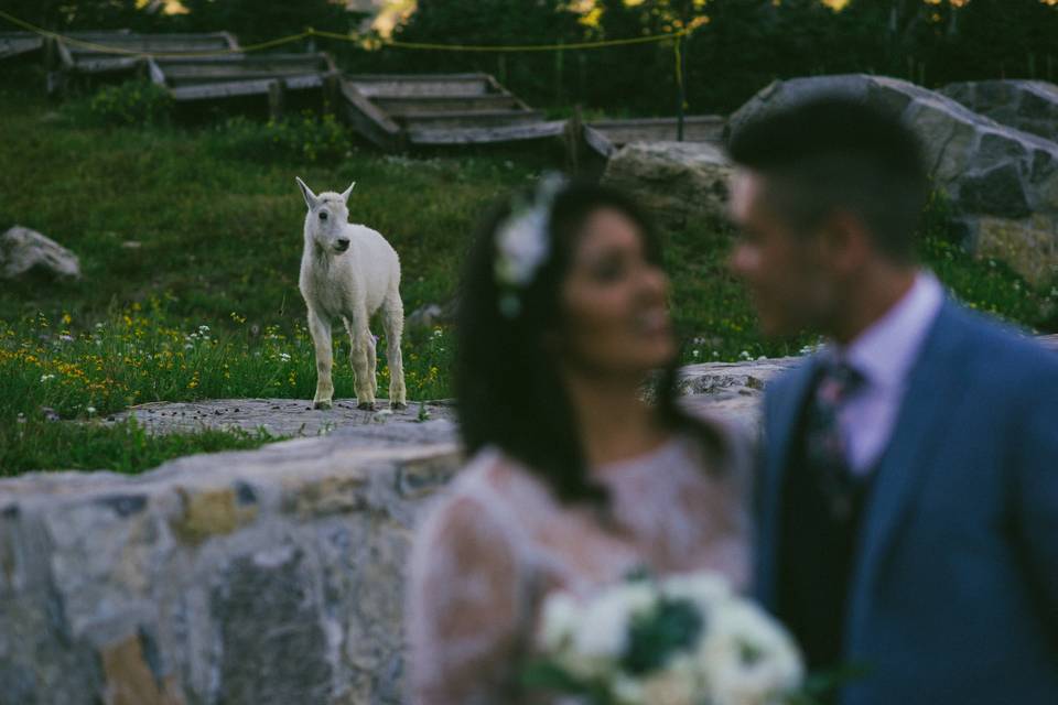 Glacier National Park wedding