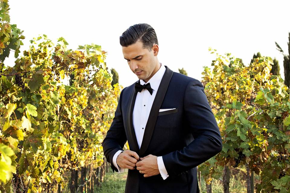 Groom in the vineyard