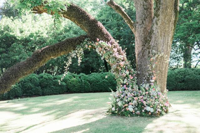 Season In Bloom Ceremony Tree