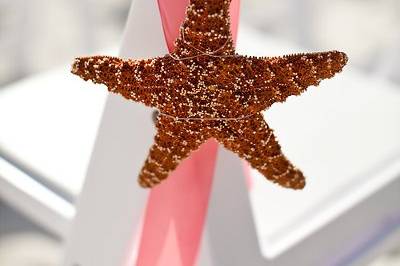 Aisle starfish decoration