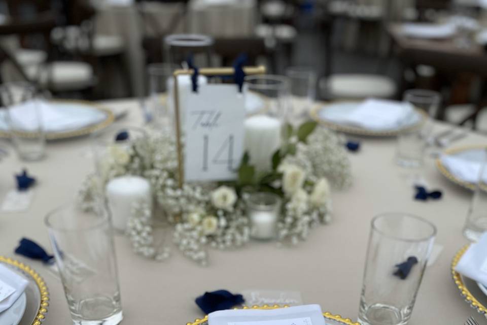 Table Setting 1