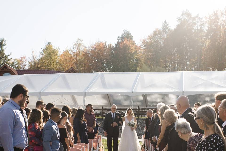 Father of the Bride