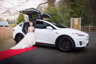 Tesla Limousine Service of Orlando