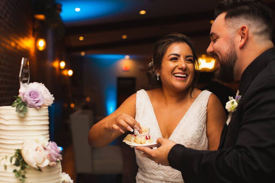 Cake Cutting