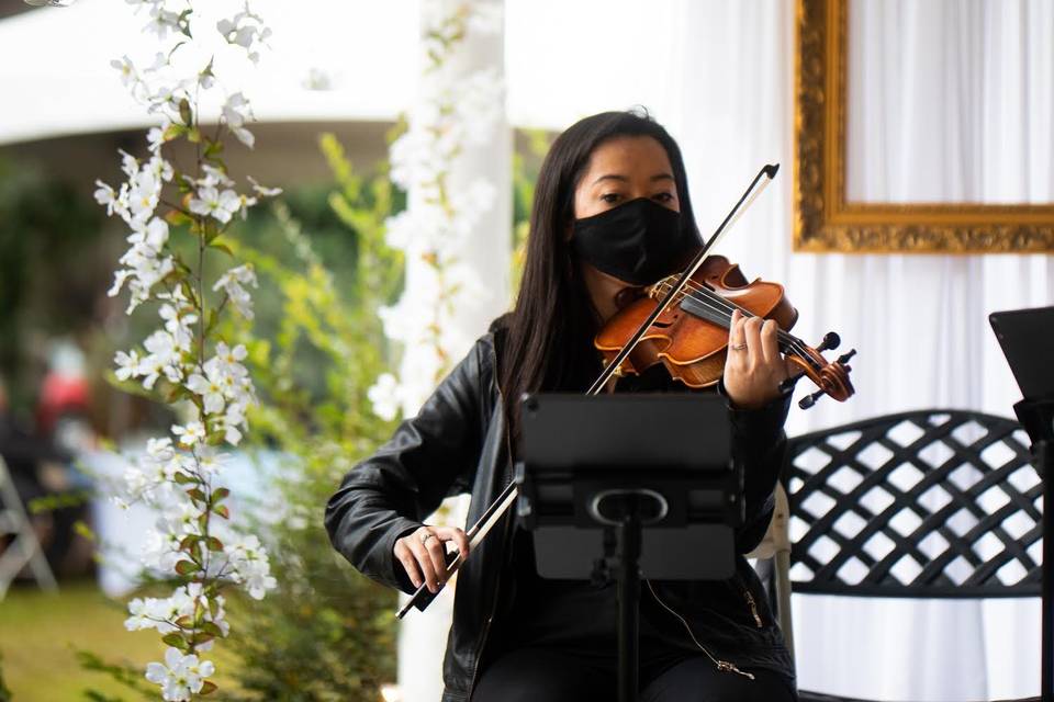 Violinist performing ceremony