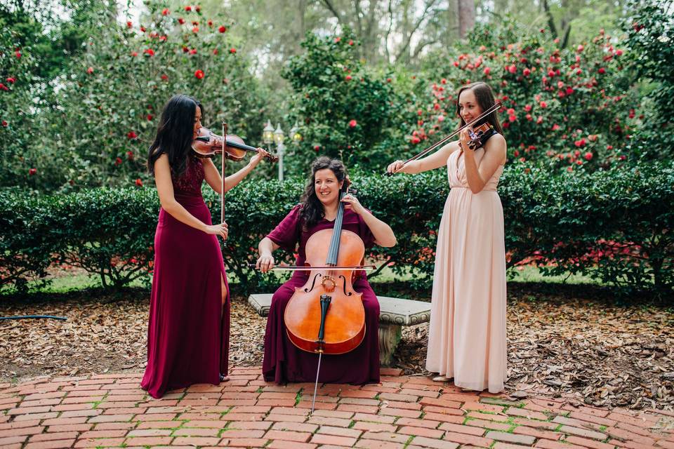 String trio