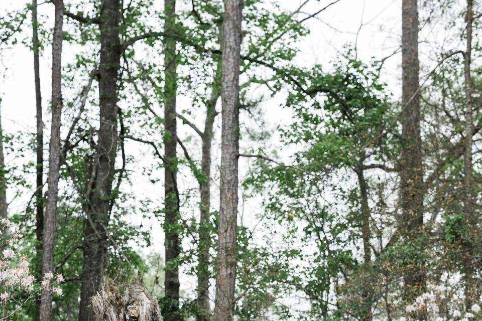 Trio at Birdsong Nature Center