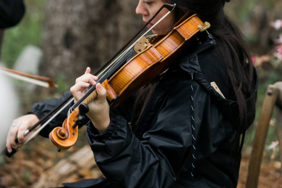 Violinist