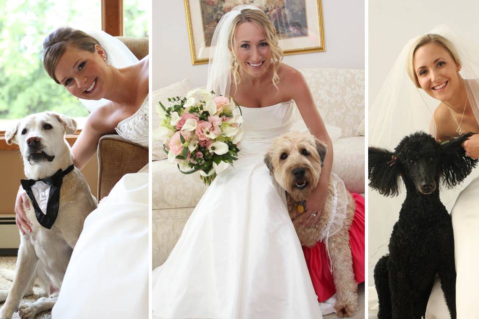 rochester wedding photographer - bridal portraits - brides with dogs